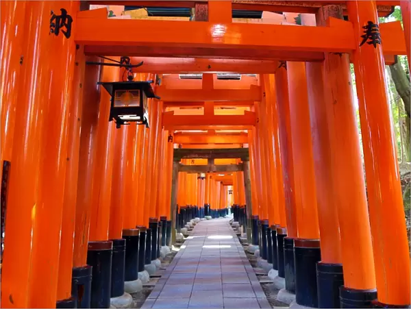 Red torii gate tunnel at Fushimi Inari Shinto shrine in Kyoto, Japan