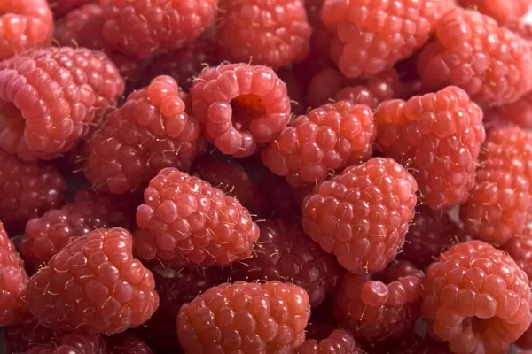 Fresh whole raspberries credit: Marie-Louise Avery  /  thePictureKitchen  /  TopFoto