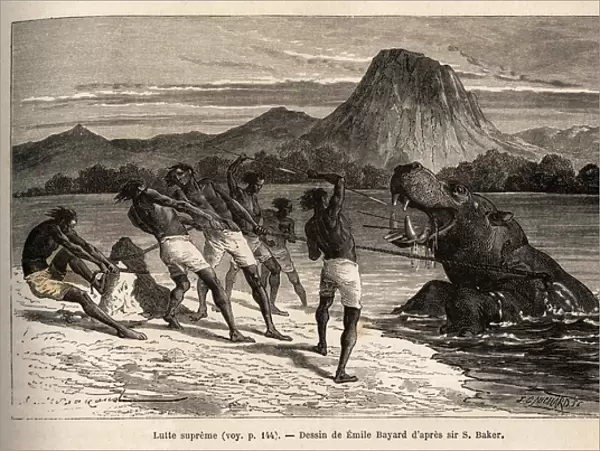 Hippo hunting with the Houarti tribe, with harpoons and spears