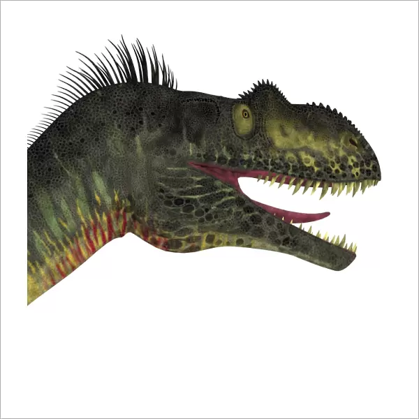 Close-up of a menacing Megalosaurus