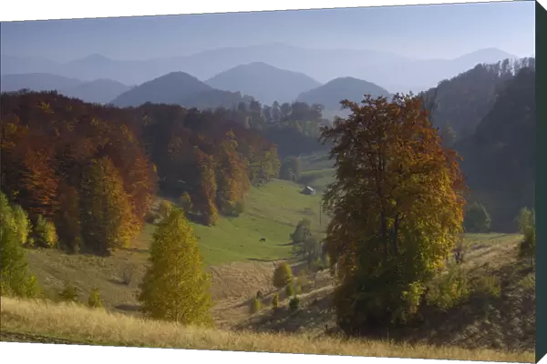 Pastures and forest covered hills, Piatra Craiului National Park, Transylvania, Southern