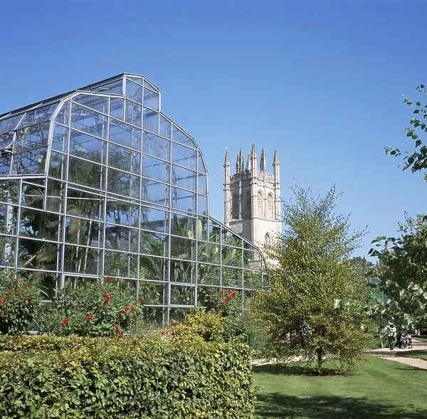 Glass house and Magdalen College Tower, Oxford Botanic Gardens, Oxford