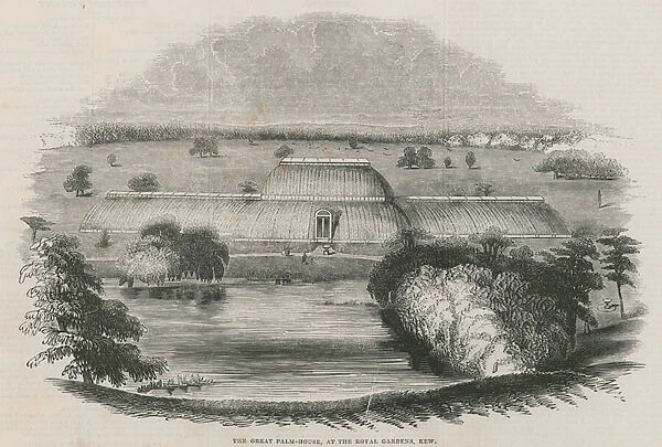 The great Palm House at the Royal Gardens, Kew, London (engraving)