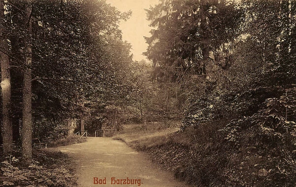 Forest roads Lower Saxony 1908 Bad Harzburg Ministerweg