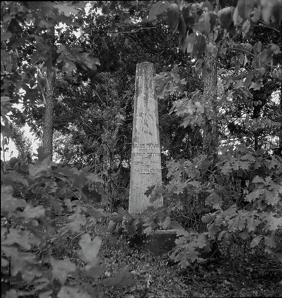 Family burial ground on the abandoned Pharr Plantation near Social Circle, Georgia, 1937. Creator: Dorothea Lange