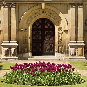 Essex Collection: Audley End