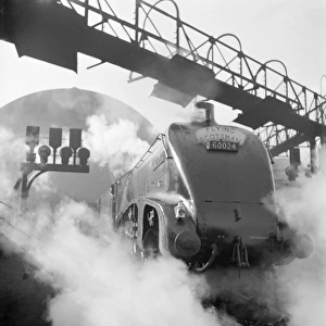 Railways Framed Print Collection: Steam Locomotives