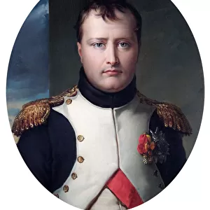 Fame Metal Print Collection: Napoleon Bonaparte