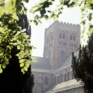 Cathedrals Rights Managed Collection: St Albans Abbey