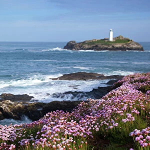 Godrevy Island and Lighthouse - from Gwithian - thrift - Cornwall - UK