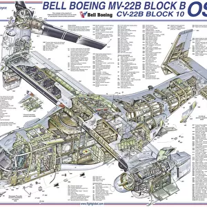 Cutaways Photographic Print Collection: Military Helicopter Cutaways