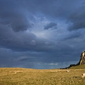 Lindisfarne Castle, Northumberland, England