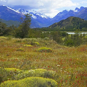 Landscape of meadow, snow mountain valley in the distance, National Park Los Glaciares