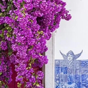 Portugal, Lisbon. Pink flowers of Bougainvillea plant and historical building next to