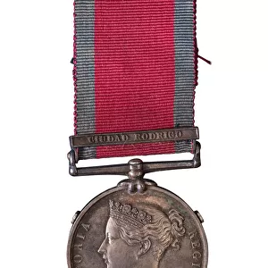 Museum Objects Rights Managed Collection: Medals