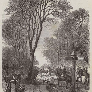 The Emperor Louis Napoleon (Napoleon III) at the Hunting Meeting, at Compiegne (engraving)