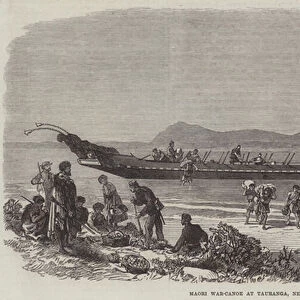 Maori War-Canoe at Tauranga, New Zealand (engraving)
