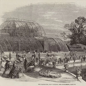 The Palmhouse, Kew Gardens (engraving)
