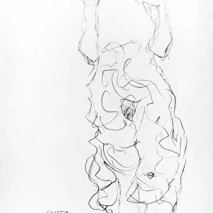 Standing Nude with Arms Raised, c.1917/18 (pencil on paper) (b/w photo)