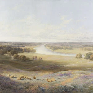 View of Richmond (oil on canvas)