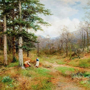 Oil paintings Collection: Landscape paintings