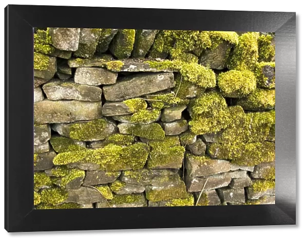 Dry stone wall DP005708