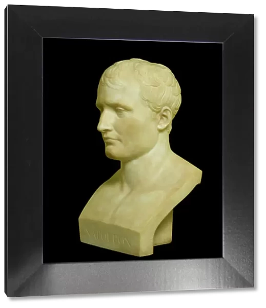 Canova - Bust of Napoleon N080945