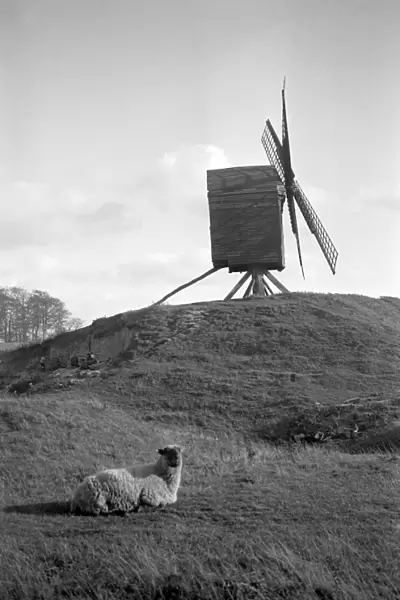 Brill Windmill, Buckinghamshire a81_02141