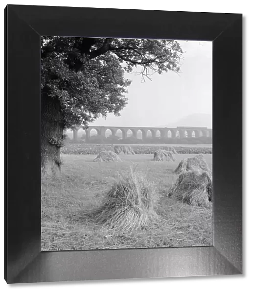 Congleton Viaduct a98_05397