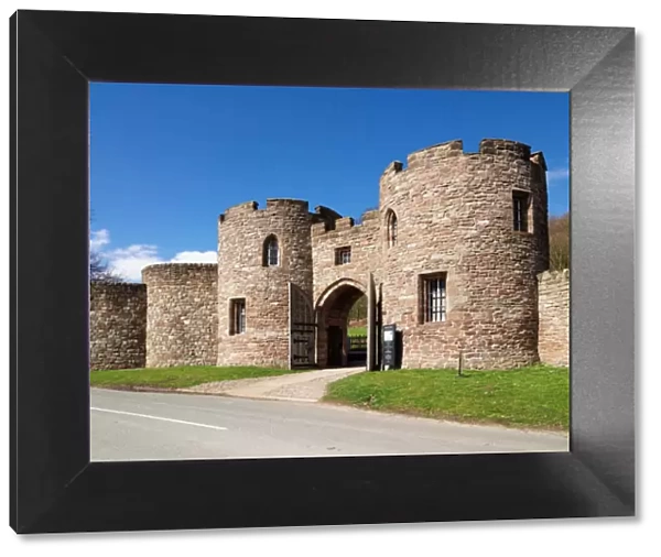 Beeston Castle N060056