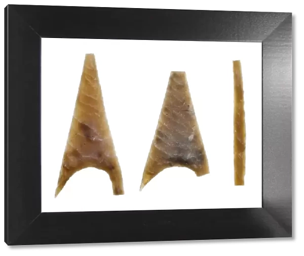 Neolithic arrowheads N100547