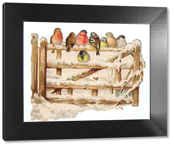 Birds perched on a gate on a cutout Christmas card