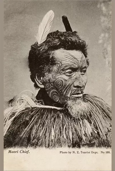 Maori Chieftain, New Zealand