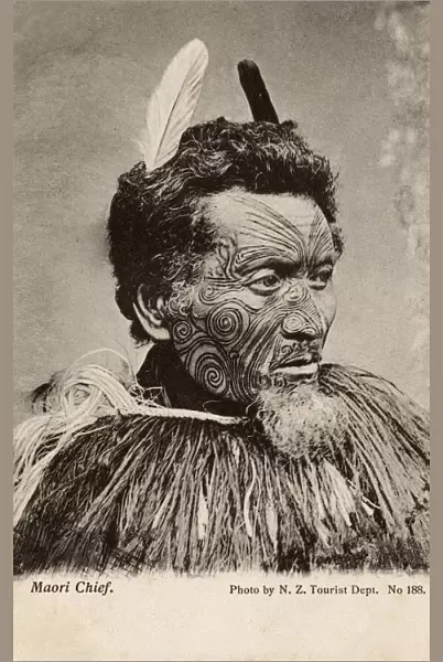 Maori Chieftain, New Zealand