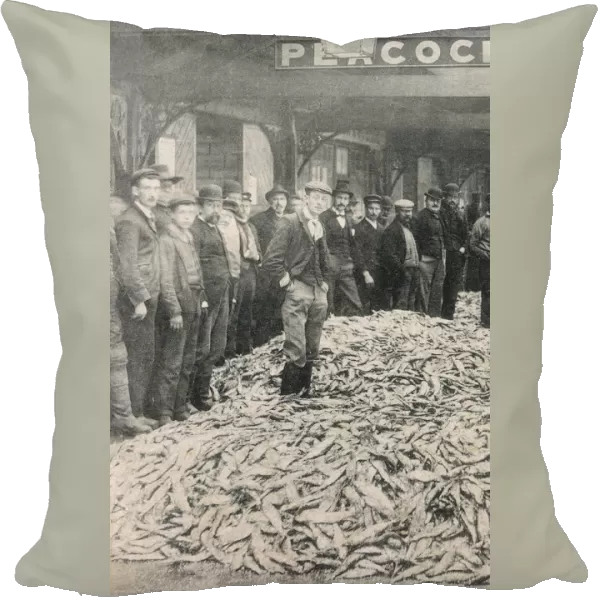 London - Billingsgate Fish Market - Standing amid the catch