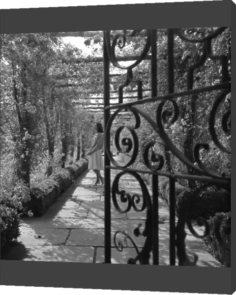Wrought iron gate in a garden
