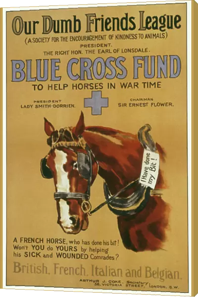 Blue Cross Fund Poster