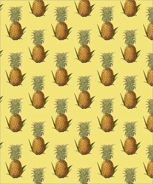 Repeating Pattern - Pineapples