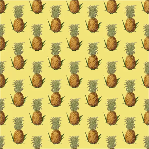 Repeating Pattern - Pineapples
