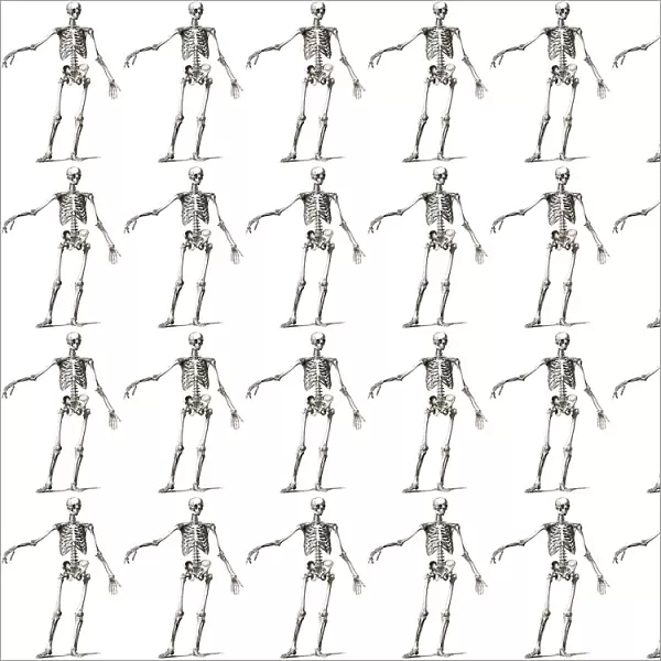Repeating Pattern - Skeletons