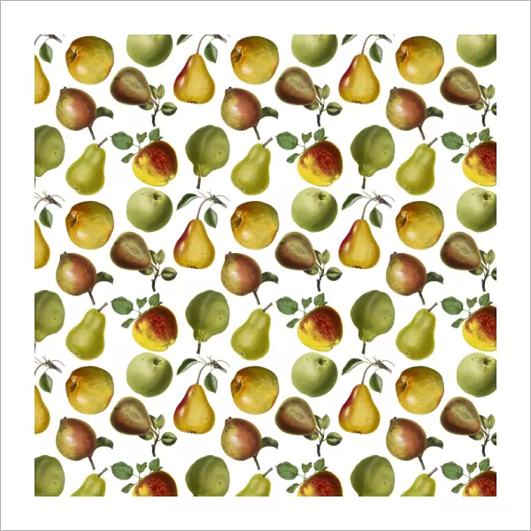 Repeating Pattern - Apples and Pears
