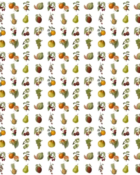Repeating Pattern - Assorted Fruit