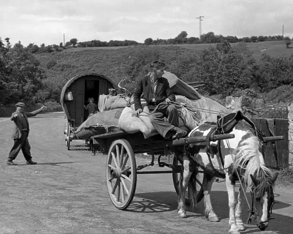 Country road with horse and cart