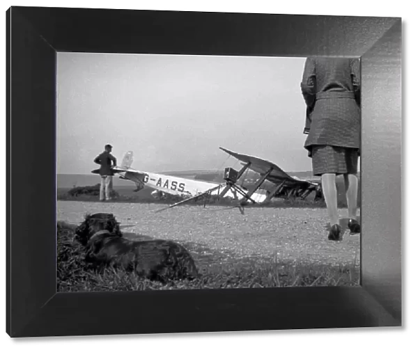 People and dog with crashed biplane