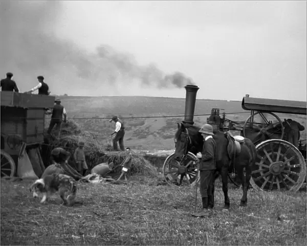 Farming with steam-powered tractor