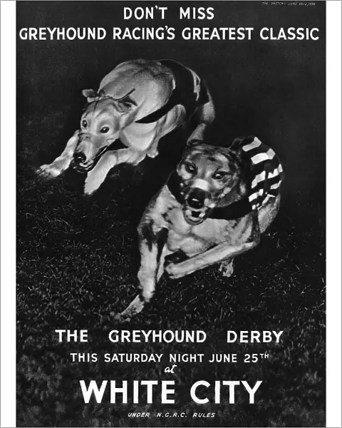 White City greyhound racing advertisement, 1938