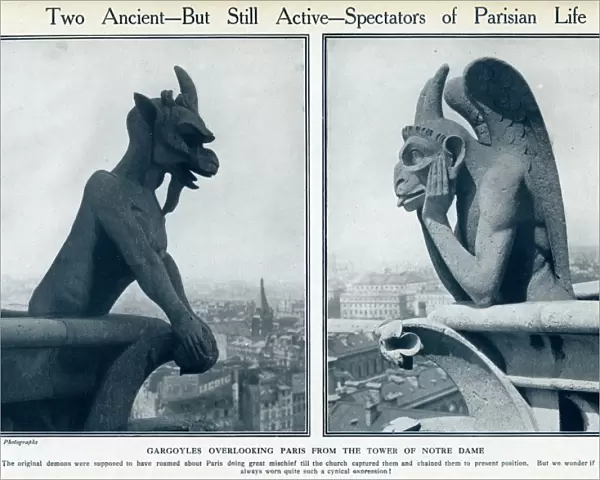 Two gargoyles on Notre Dame Cathedral, Paris