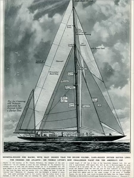 Shamrock V yacht by G. H. Davis