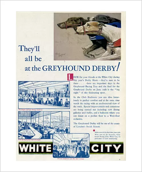 Advert for White City Greyhound Racing 1932