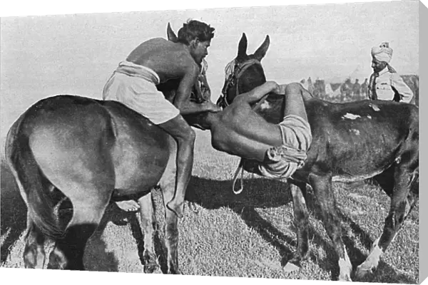 Wrestling on horseback, Indian troops at Salonika, WW1